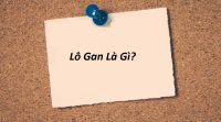 Lô gan là gì? Cách Nhận Biết Lô Gan? Cách Đánh Lô Gan