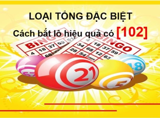 Loại tổng đặc biệt hôm nay – Cách bắt lô hiệu quả có [102]